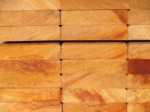 Canadian hardwood for cutting boards